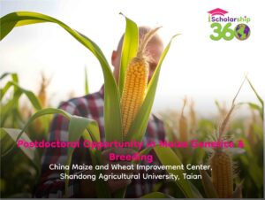 Maize Genetics